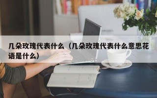 几朵玫瑰代表什么（几朵玫瑰代表什么意思花语是什么）