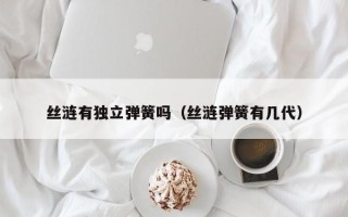 丝涟有独立弹簧吗（丝涟弹簧有几代）