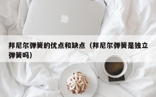 邦尼尔弹簧的优点和缺点（邦尼尔弹簧是独立弹簧吗）