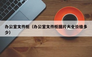 办公室文件柜（办公室文件柜图片大全价格多少）