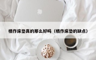 栖作床垫真的那么好吗（栖作床垫的缺点）