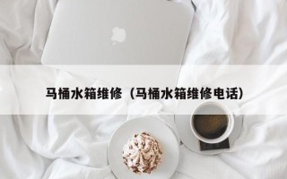 马桶水箱维修（马桶水箱维修电话）