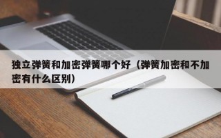 独立弹簧和加密弹簧哪个好（弹簧加密和不加密有什么区别）