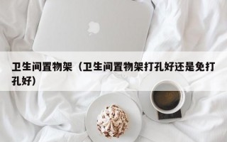 卫生间置物架（卫生间置物架打孔好还是免打孔好）