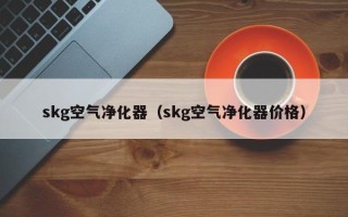 skg空气净化器（skg空气净化器价格）