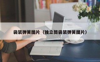 袋装弹簧图片（独立筒袋装弹簧图片）