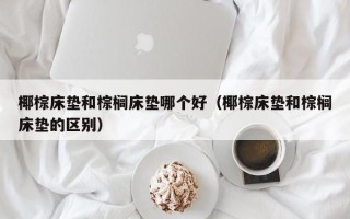 椰棕床垫和棕榈床垫哪个好（椰棕床垫和棕榈床垫的区别）