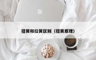 扭簧和拉簧区别（扭簧原理）