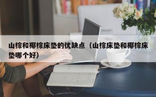 山棕和椰棕床垫的优缺点（山棕床垫和椰棕床垫哪个好）