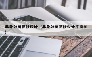 单身公寓装修设计（单身公寓装修设计平面图）