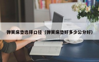 弹簧床垫选择口径（弹簧床垫好多少公分好）