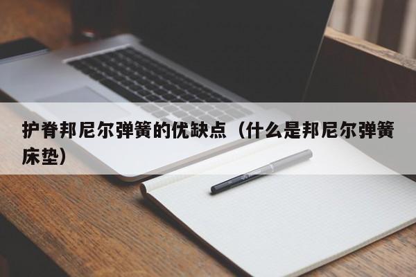 护脊邦尼尔弹簧的优缺点（什么是邦尼尔弹簧床垫）-第1张图片