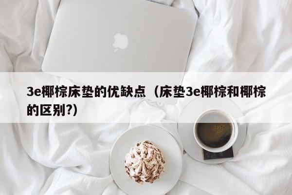 3e椰棕床垫的优缺点（床垫3e椰棕和椰棕的区别?）-第1张图片