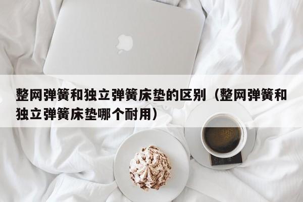 整网弹簧和独立弹簧床垫的区别（整网弹簧和独立弹簧床垫哪个耐用）-第1张图片