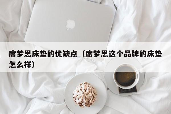 席梦思床垫的优缺点（席梦思这个品牌的床垫怎么样）-第1张图片