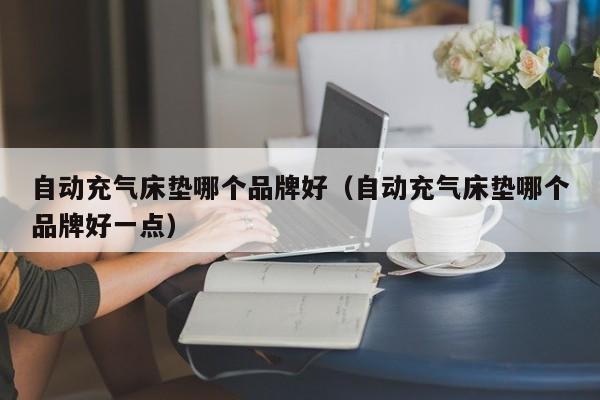 自动充气床垫哪个品牌好（自动充气床垫哪个品牌好一点）-第1张图片