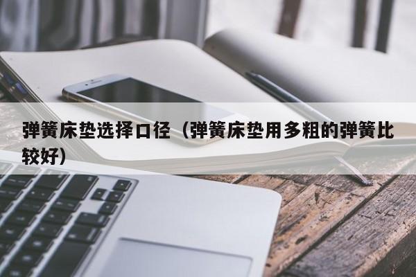 弹簧床垫选择口径（弹簧床垫用多粗的弹簧比较好）-第1张图片