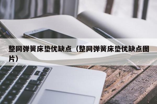 整网弹簧床垫优缺点（整网弹簧床垫优缺点图片）-第1张图片