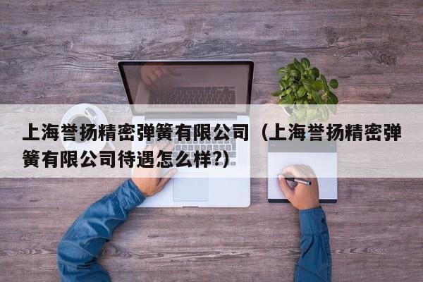 上海誉扬精密弹簧有限公司（上海誉扬精密弹簧有限公司待遇怎么样?）-第1张图片