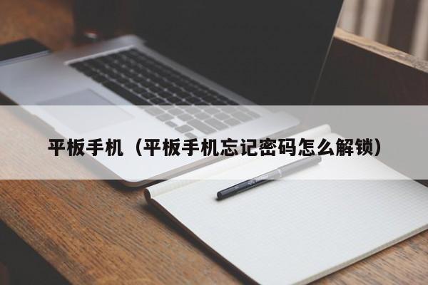 平板手机（平板手机忘记密码怎么解锁）-第1张图片